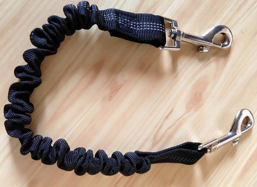 Shock-Absorbing Bungee Leash