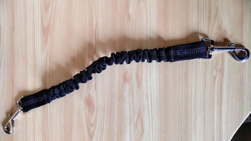 Shock-Absorbing Bungee Leash