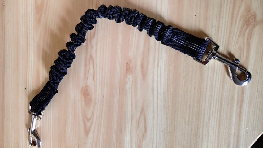 Shock-Absorbing Bungee Leash