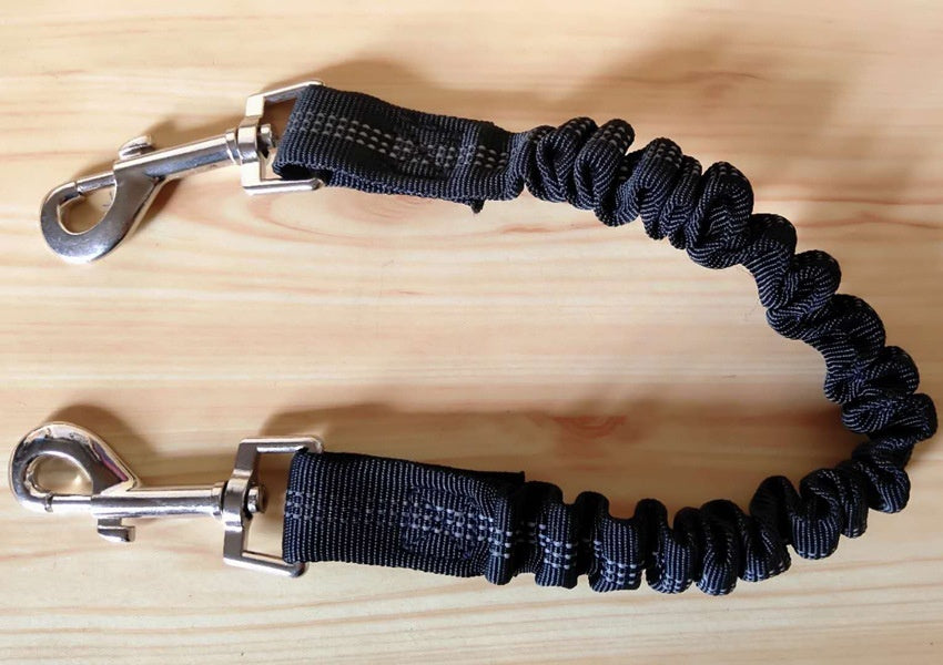Shock-Absorbing Bungee Leash