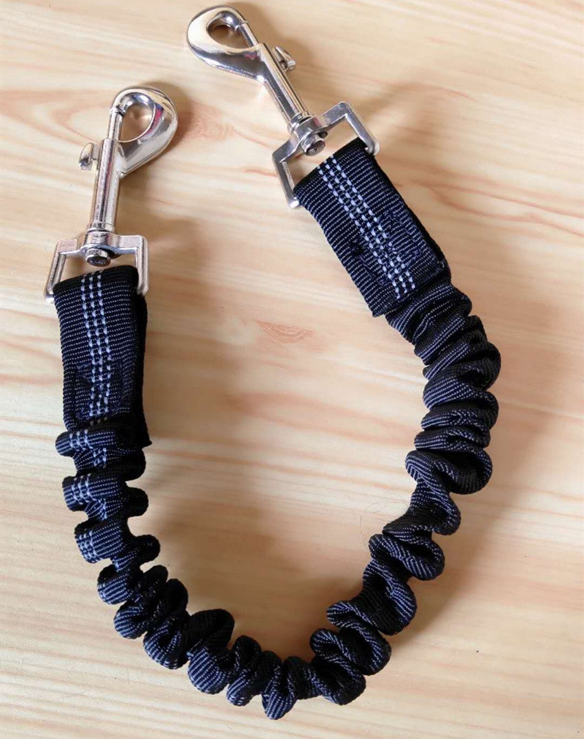 Shock-Absorbing Bungee Leash