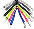 Dog Car Seatbelt Tether